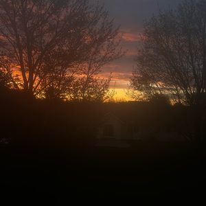 Meet your Posher, Addison